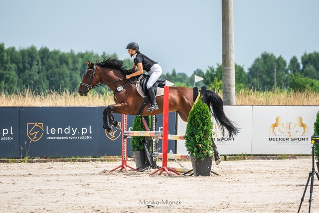 Ubezpieczenie dla jeźdźców