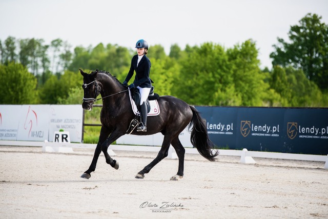 Ubezpieczenia jeździeckie PZJ