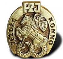 Odznaka jeżdżę konno